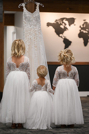 brideandbridesmaids-1
