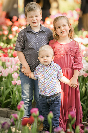 tulips-5