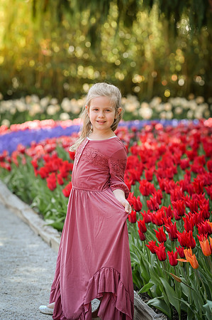 tulips-7