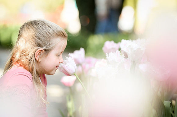 tulips-15