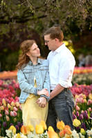 tulipengagement-8