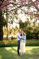 tulipengagement-3
