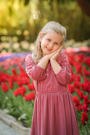 tulips-10