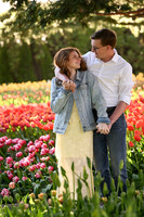 tulipengagement-1