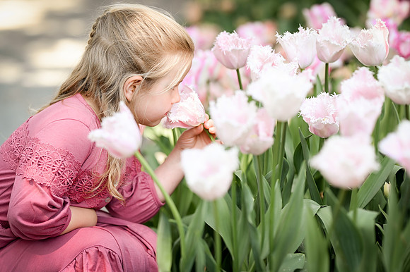 tulips-13