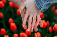 tulipengagement-12
